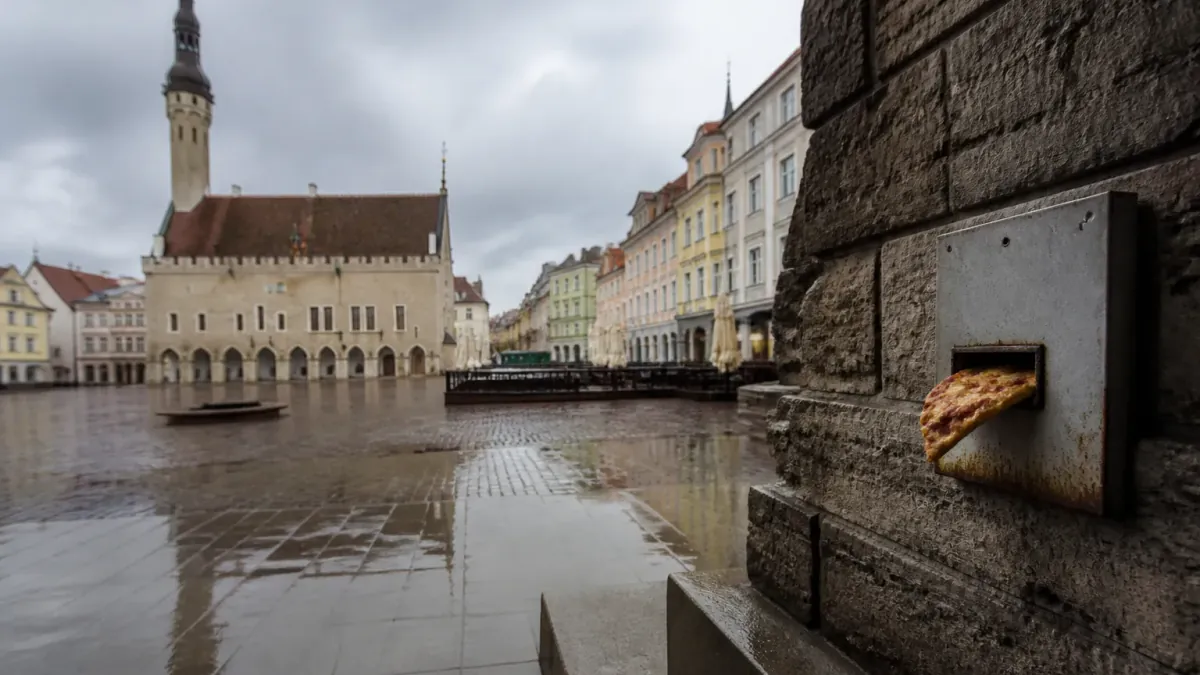 Nationwide E-Government Glitch Leaves 1 Million Estonians Unable to Order Pizzas Online